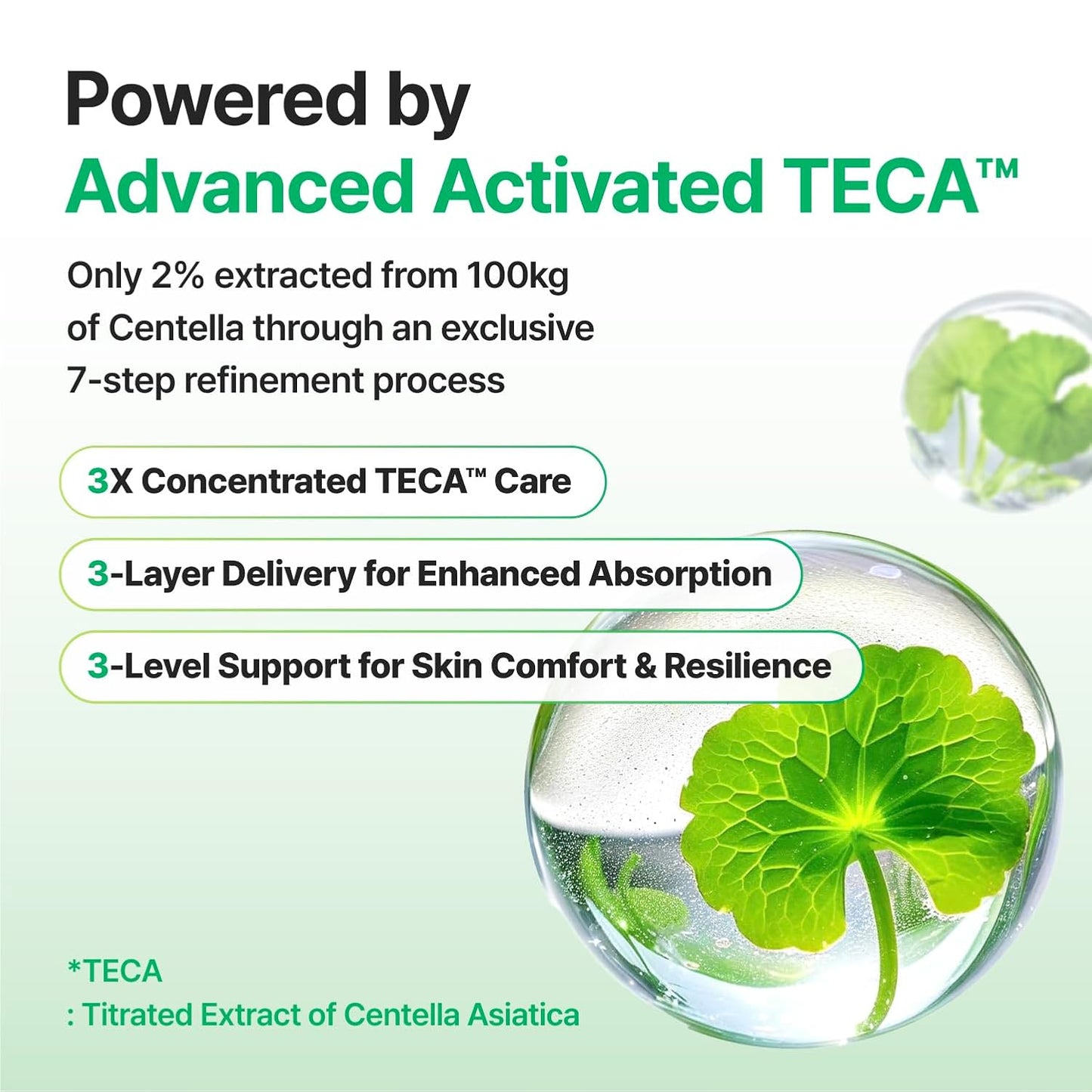 HOTCENTELLIAN 24 Madeca Cream Time Reverse - Firming Face Moisturizer with TECA Centella Asiatica, Skin Elasticity & Barrier Support, Deep Hydration Anti-Aging Face Cream, Korean Skincare, 1.69 fl oz