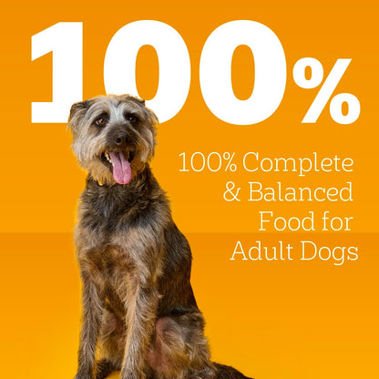 HOTPedigree Choice Cuts Wet Dog Food, Beef & Country Stew, 13.2 oz, 12 Count