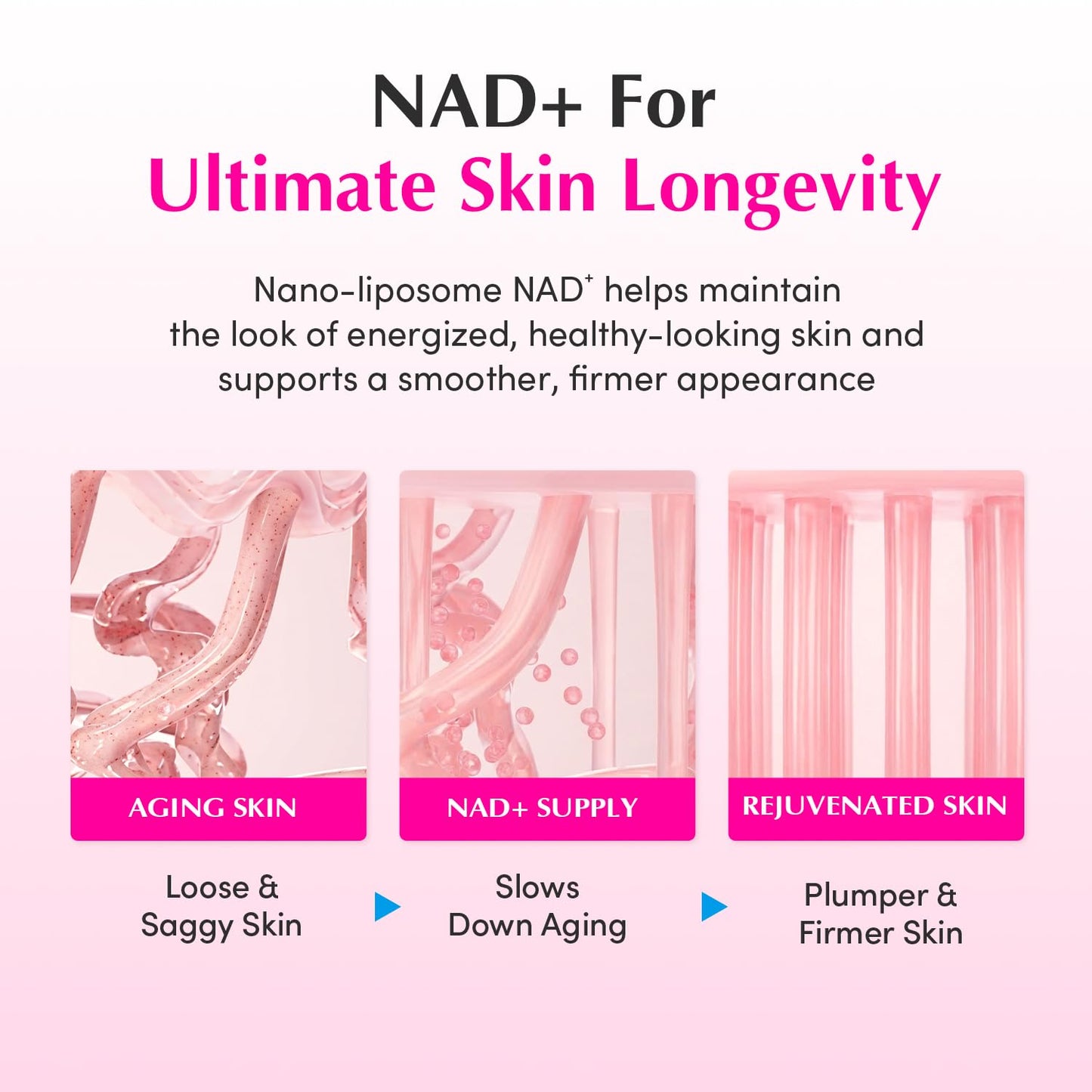 HOTEQQUALBERRY NAD+ Peptide Boosting Cream – NAD+ 5% & 13 Peptides Anti-Aging Korean Skincare Face & Body Cream | Firming & Lifting Pink Neck Cream for Sagging Skin (1.69 fl.oz / 50ml)