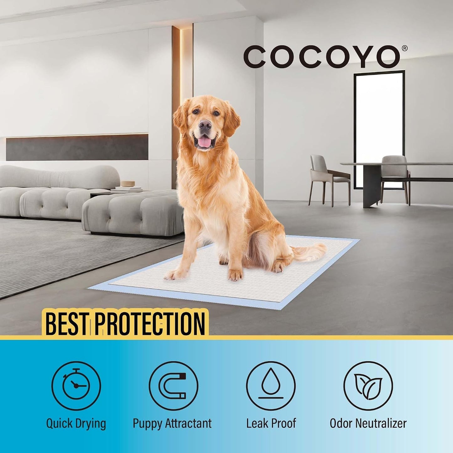 HOTCOCOYO Best Value 22"x22" Dog Training Pads 50 Count | Dog Pee Pads | Super Absorbent Puppy Pads,White