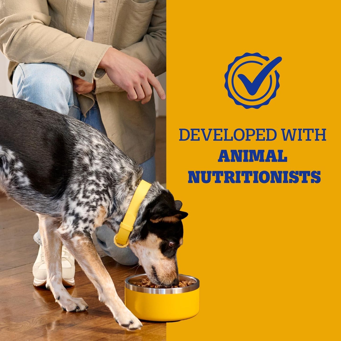 HOTPedigree Complete Nutrition Dry Dog Food, Chicken & Vegetable, 18 lb