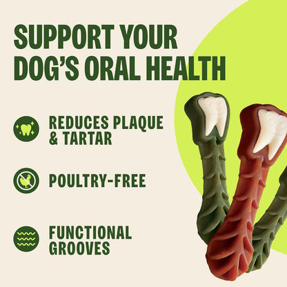 HOTWhimzees Wellness Brushzees Natural Dog Dental Treat, VOHC Accepted Chews, Freshens Breath, Extra-Small Size, 12.7 oz Bag, 48 Count