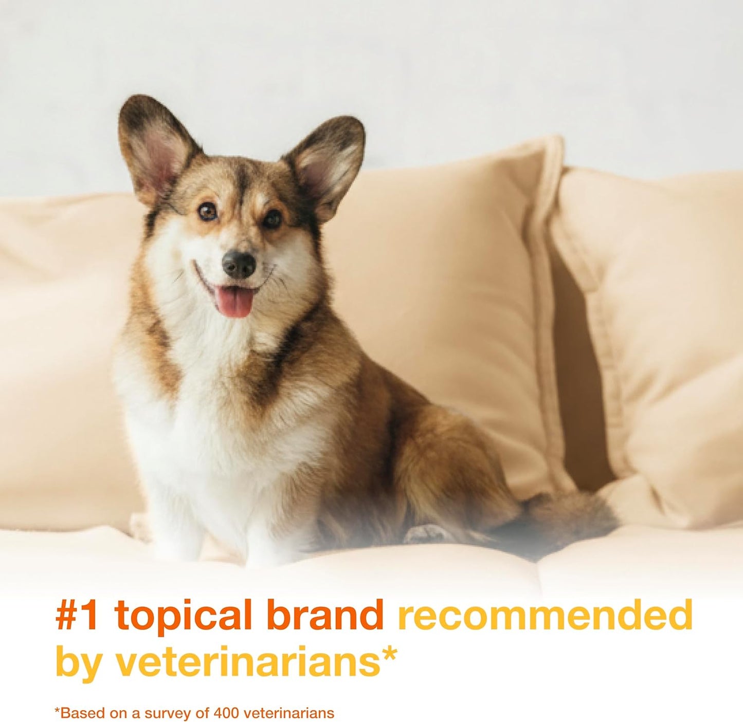 HOTDouxo S3 PYO Medicated Dog Mousse - Bacterial & Yeast Infection Treatment | Chlorhexidine for Dogs; Waterless Shampoo, Antibacterial & Antiseptic, for Dogs Only, Clinically Proven, 5 fl oz
