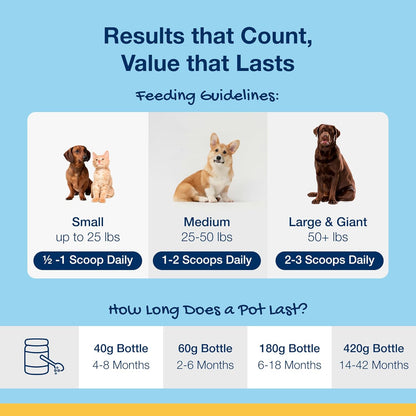 HOTProDen PlaqueOff Powder for Dogs - Dog Tartar and Plaque Remover - 60g | VOHC Accepted Dental Powder for Pet Oral Care - Supports Fresher Breath and Dental Hygiene - 100% Natural Kelp Formula