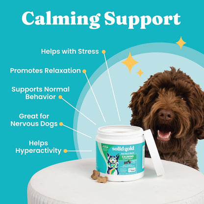 HOTSolid Gold Calming Chews for Dogs - Dog Calming Chews w/Melatonin for Separation, Stress & Hyperactivity Relief - Supports Relaxation for Travel, Fireworks & Storms - All Ages & Sizes - Bacon 120ct