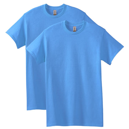 HOTGildan Adult Heavy Cotton T-Shirt, Style G5000