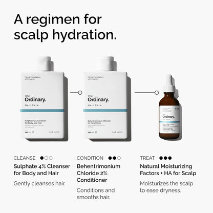HOTThe Ordinary Hair Care Natural Moisturizing Factors + Hyaluronic Acid, Lightweight Hydrating Scalp Serum with Hyaluronic Acid and Squalane, 2 Fl Oz