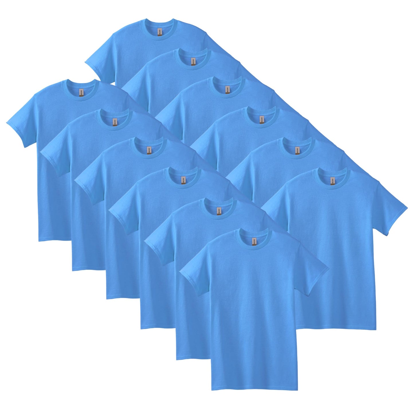 HOTGildan Adult Heavy Cotton T-Shirt, Style G5000