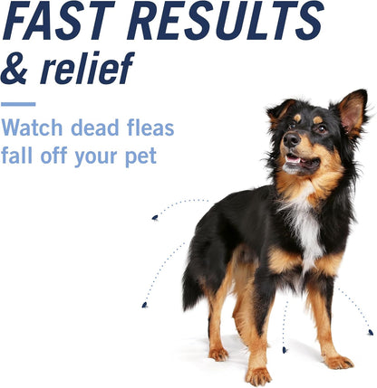 HOTPetArmor CAPACTION (nitenpyram) Oral Flea Treatment for Dogs, Fast Acting Tablets Start Killing Fleas in 30 Minutes, Dogs Over 25 lbs, 6 Doses (Pack of 1) (Packaging May Vary)