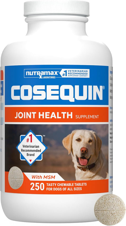 HOTNutramax Cosequin Joint Supplement for Dogs, MSM+HA, Chew Tablets, 250ct | Joint Health, Glucosamine + Chondroitin for Dogs, MSM, Supports Joints, All Breeds & Sizes, All Ages, Chewable Tablets
