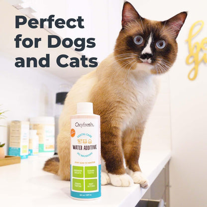 HOTOxyfresh Premium Pet Dental Care Solution Pet Water Additive: Best Way to Eliminate Bad Dog Breath and Cat Bad Breath - Fights Tartar & Plaque - So Easy, Just Add to Water! Vet Recommended 16 oz.