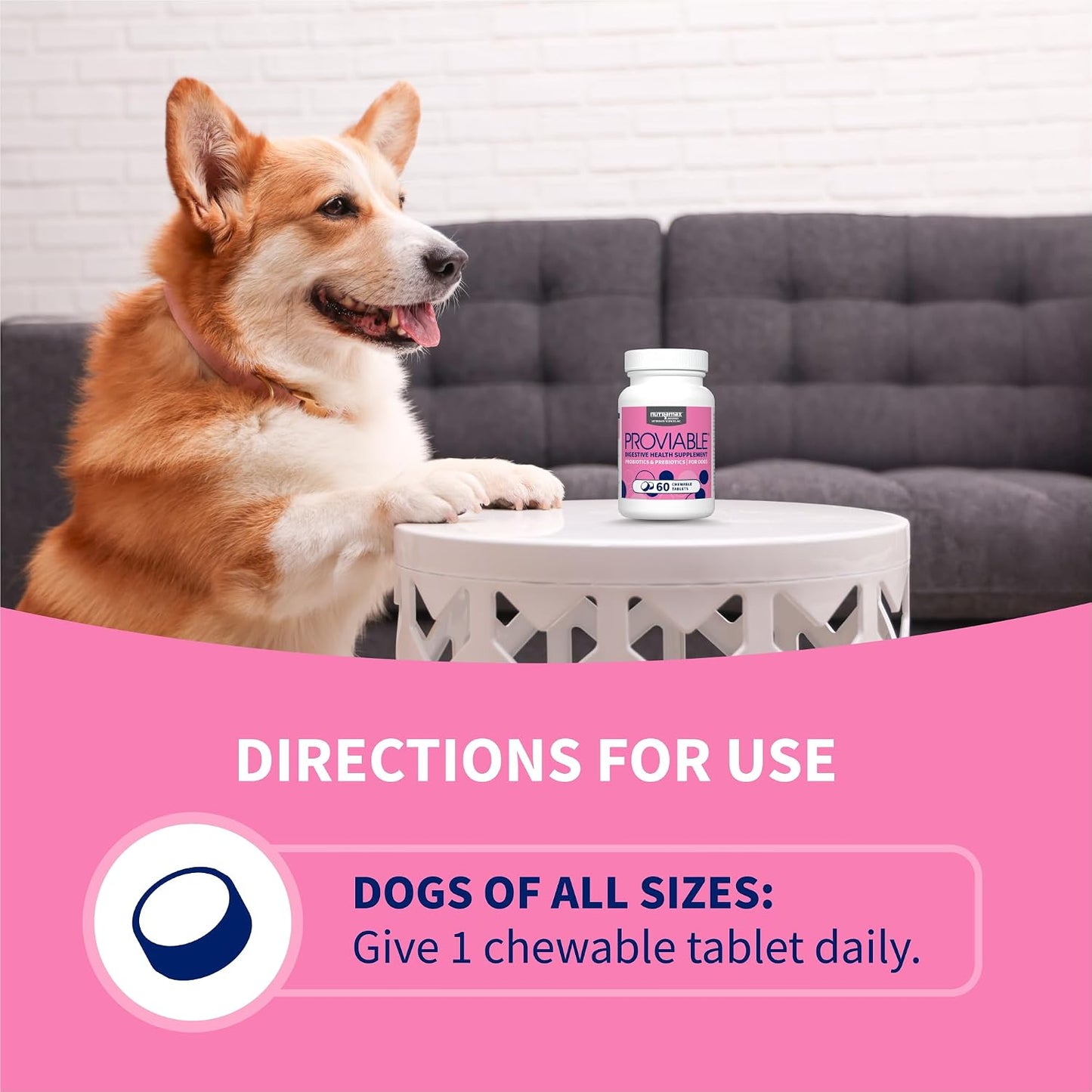 HOTNutramax Proviable Probiotics for Dogs, Daily Digestive Health Supplement with Multiple Strains of Bacteria, Dog Probiotics Plus Prebiotics, 60 Chewable Tablets