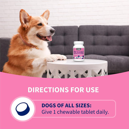 HOTNutramax Proviable Probiotics for Dogs, Daily Digestive Health Supplement with Multiple Strains of Bacteria, Dog Probiotics Plus Prebiotics, 60 Chewable Tablets