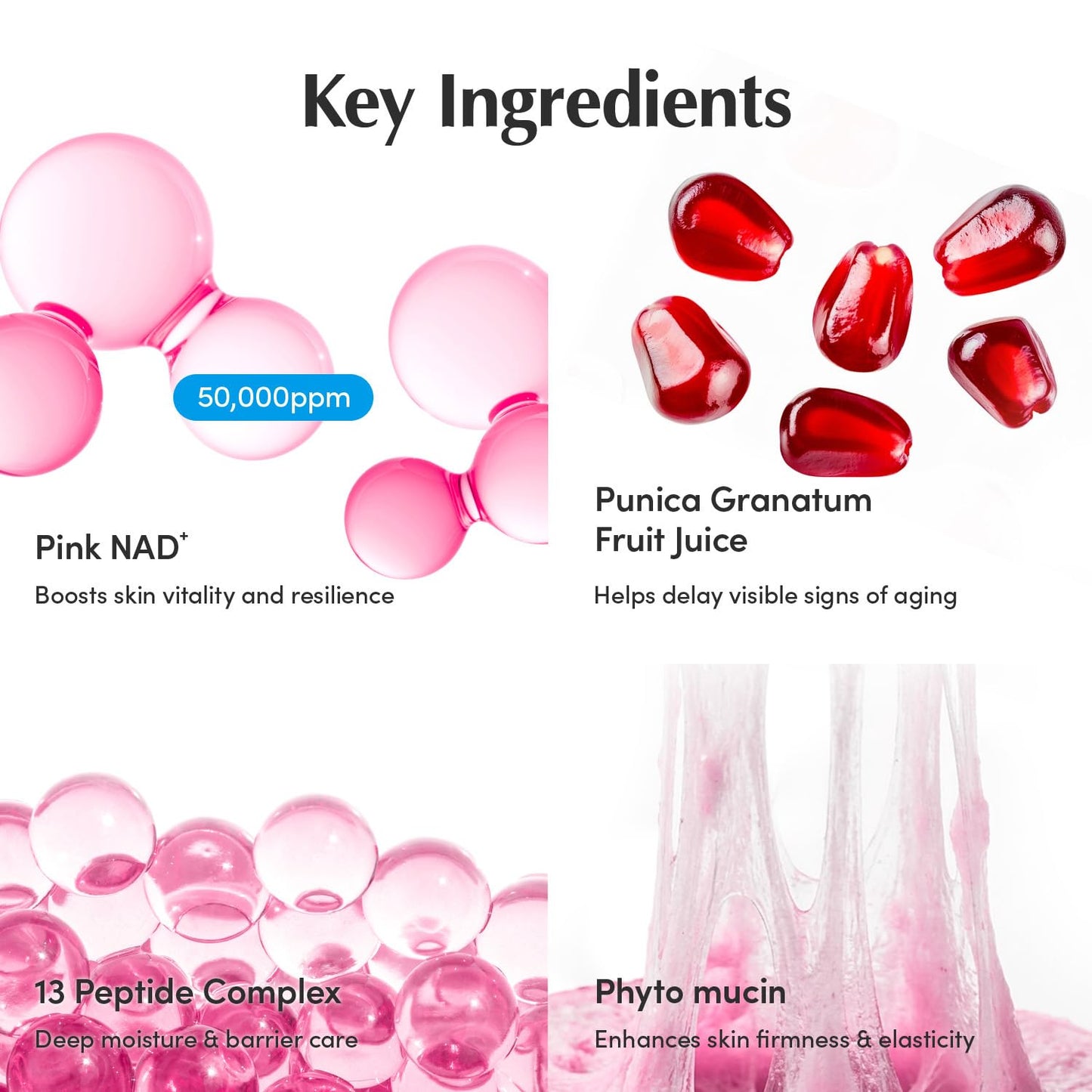 HOTEQQUALBERRY NAD+ Peptide Boosting Cream – NAD+ 5% & 13 Peptides Anti-Aging Korean Skincare Face & Body Cream | Firming & Lifting Pink Neck Cream for Sagging Skin (1.69 fl.oz / 50ml)