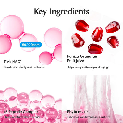 HOTEQQUALBERRY NAD+ Peptide Boosting Cream – NAD+ 5% & 13 Peptides Anti-Aging Korean Skincare Face & Body Cream | Firming & Lifting Pink Neck Cream for Sagging Skin (1.69 fl.oz / 50ml)