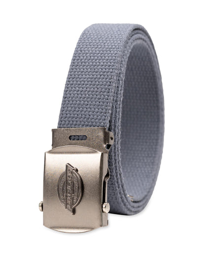 HOTDickies mens Fabric Web Plaque Logo Buckle Belt - Fits Up to Size 42" Waist