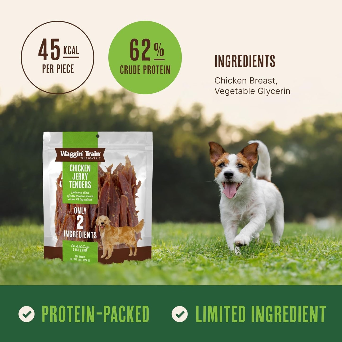 HOTWaggin' Train Chicken Jerky Dog Treats, Made with 100% Real Chicken Breasts, Only Two All-Natural Ingredients, Great High Protein Dog Treat, Easily Digestible for Big or Small Dogs, 30 oz. Pouch