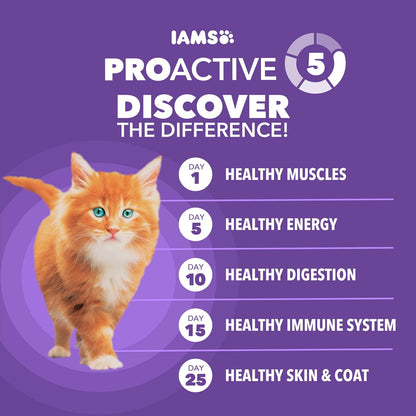 HOTIAMS Proactive Health Healthy Kitten Dry Cat Food, Chicken, 3.5 lb | Veterinarian-recommended, real chicken #1 ingredient, Omega-3 DHA & taurine, supports digestion, skin health, immune system