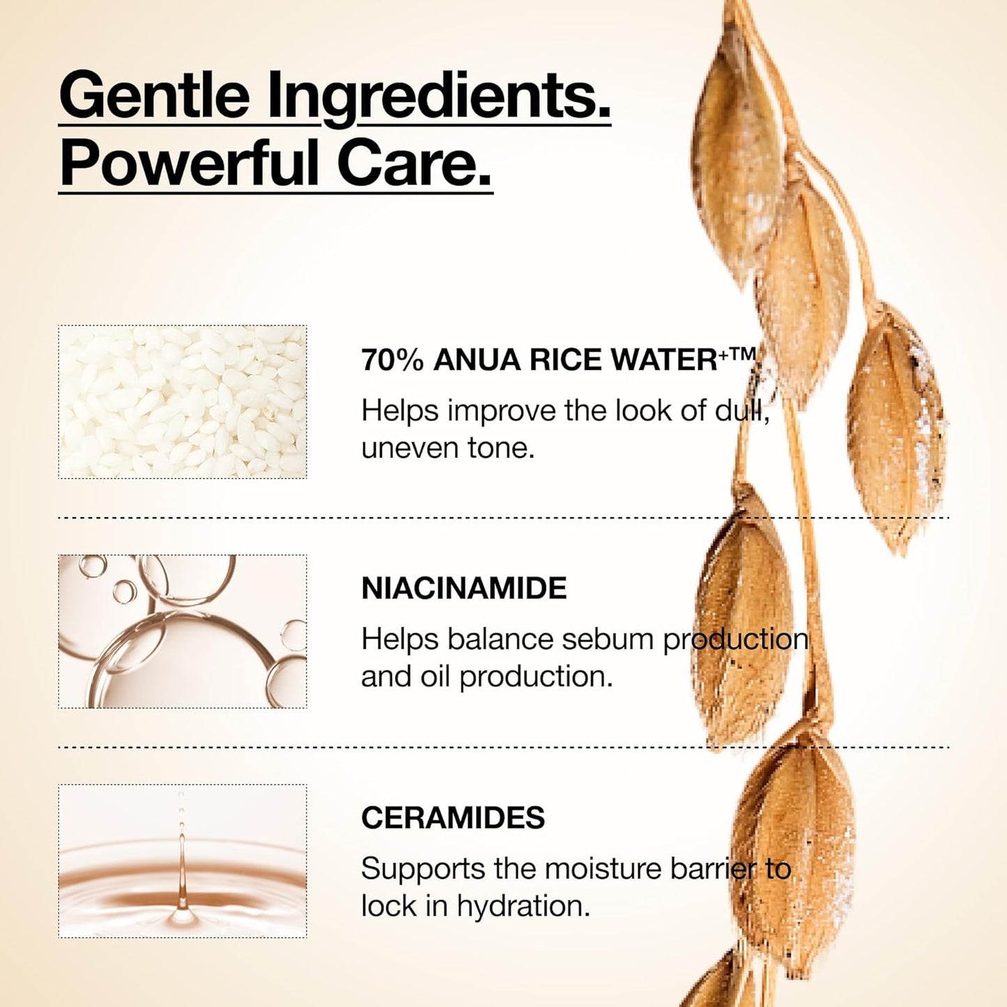 HOTAnua Rice 70 Glow Milky Toner, Glass & Dewy Skin, Hydrating & Barrier Care, Rice Water, Niacinamide, Ceramides, All Skin Types, Fragrance-Free, Non Comedogenic, Korean Skincare, 8.45 fl.oz.