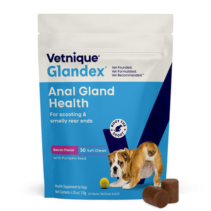 HOTVetnique Glandex for Dogs Anal Gland Chews 120ct, Pumpkin/Digestive Enzymes | Anal Gland Dog Treats, Boot the Scoot + Fishy Odor Support, Fiber, Probiotics, Quercetin + Apple Pectin, Peanut Butter