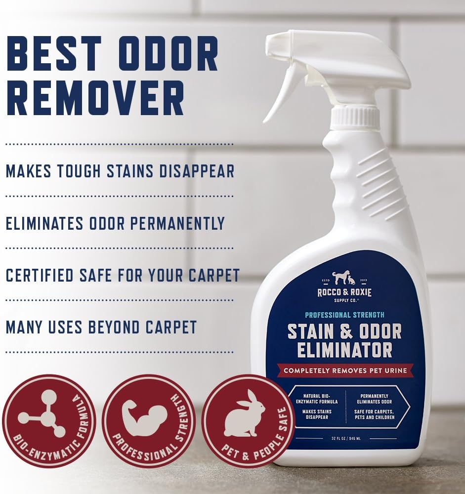 HOTRocco & Roxie Supply Co. Stain & Strong Odor Eliminator, Enzyme Cleaner, Pet Odor Eliminator for Home - Carpet Stain Remover for Cats & Dog Pee - Urine Destroyer - Carpet Cleaner Spray Clear, 32 Fl Oz