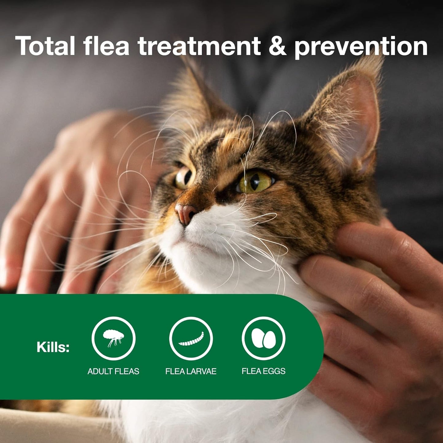 HOTII Large Cat Vet-Recommended Flea Treatment & Prevention | Cats Over 9 lbs. | 6-Month Supply
