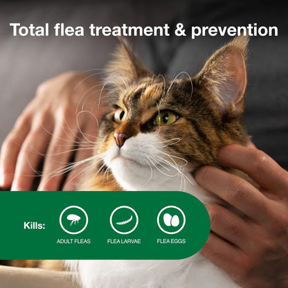 HOTII Large Cat Vet-Recommended Flea Treatment & Prevention | Cats Over 9 lbs. | 2-Month Supply