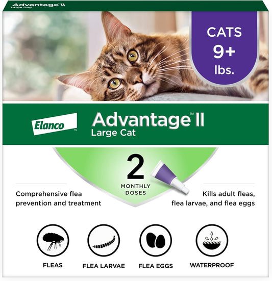 HOTII Large Cat Vet-Recommended Flea Treatment & Prevention | Cats Over 9 lbs. | 2-Month Supply