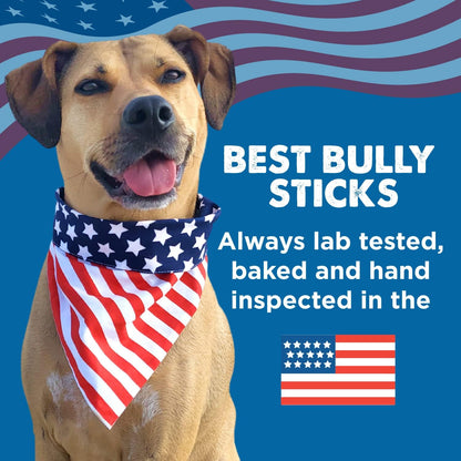HOTBest Bully Sticks Thick Bully Sticks Dog Chews, 6", 5 Count | 100% grass-fed beef, single ingredient natural dog chews, easily digestible, long lasting, rawhide-free, grain-free