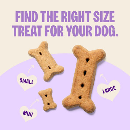 HOTWellness Old Mother Hubbard Classic P-Nuttier Dog Biscuits, Natural Training Treats, Peanut Butter Flavor, Mini Size, 6 lb Box
