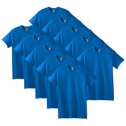 HOTGildan Adult Heavy Cotton T-Shirt, Style G5000