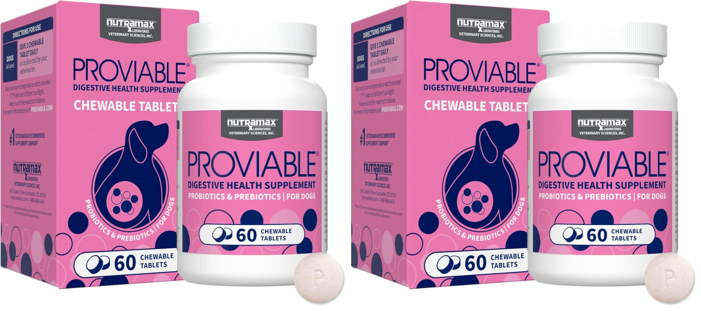 HOTNutramax Proviable Probiotics for Dogs, Daily Digestive Health Supplement with Multiple Strains of Bacteria, Dog Probiotics Plus Prebiotics, 60 Chewable Tablets