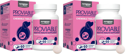 HOTNutramax Proviable Probiotics for Dogs, Daily Digestive Health Supplement with Multiple Strains of Bacteria, Dog Probiotics Plus Prebiotics, 60 Chewable Tablets