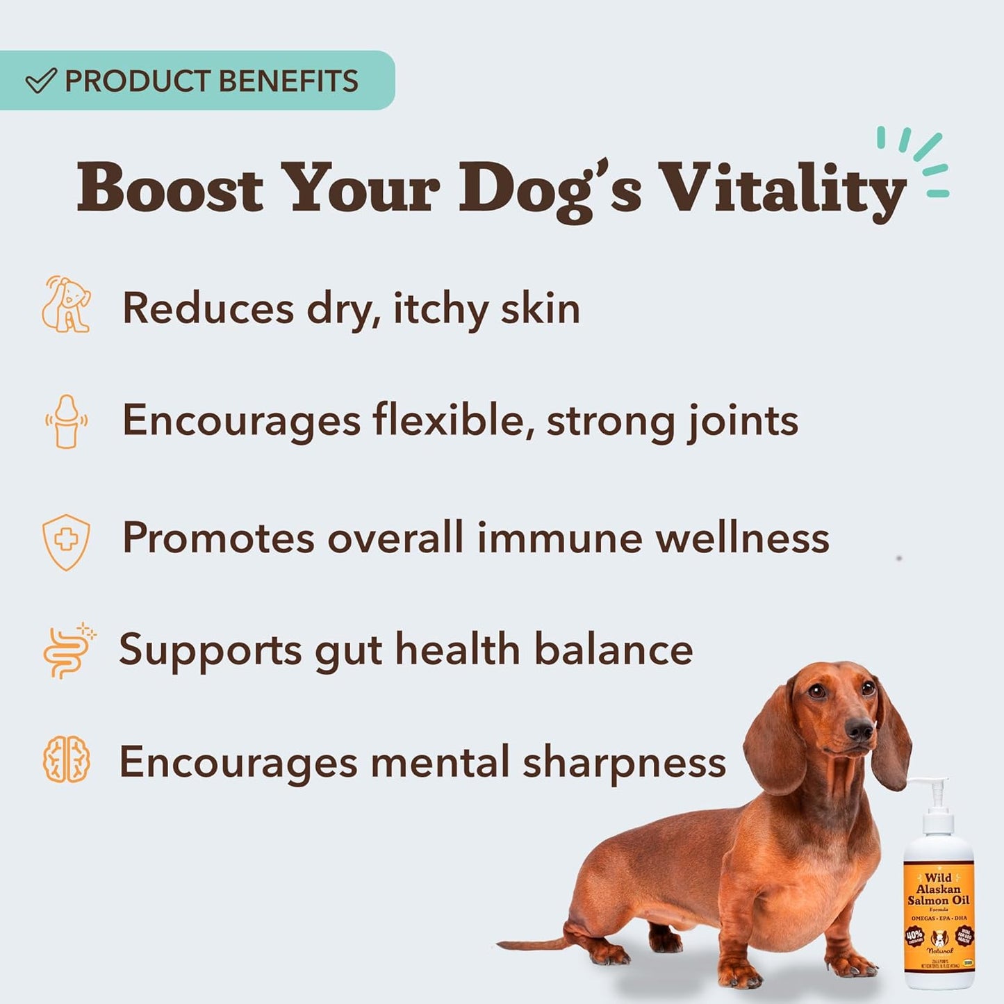 HOTNatural Dog Company Wild Alaskan Salmon Oil for Dogs - Omega 3 Fish Oil Supplement with EPA & DHA for Skin, Coat, Itch Relief, Joints, Heart & Immune Support, Liquid Food Topper, 16 oz