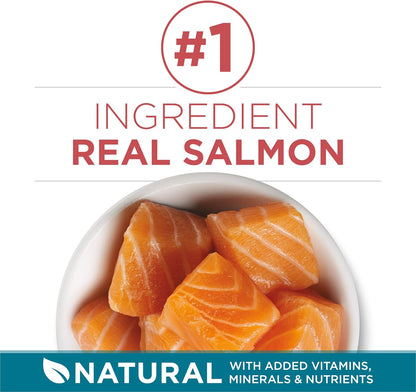 HOTPurina ONE Natural Dry Cat Food, Tender Selects Blend With Real Salmon - 7 lb. Bag