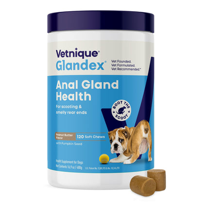 HOTVetnique Glandex for Dogs Anal Gland Chews 120ct, Pumpkin/Digestive Enzymes | Anal Gland Dog Treats, Boot the Scoot + Fishy Odor Support, Fiber, Probiotics, Quercetin + Apple Pectin, Peanut Butter