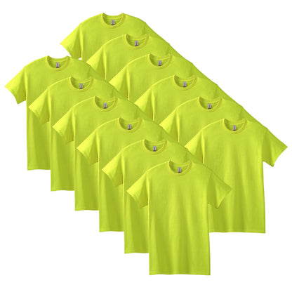 HOTGildan Adult Heavy Cotton T-Shirt, Style G5000