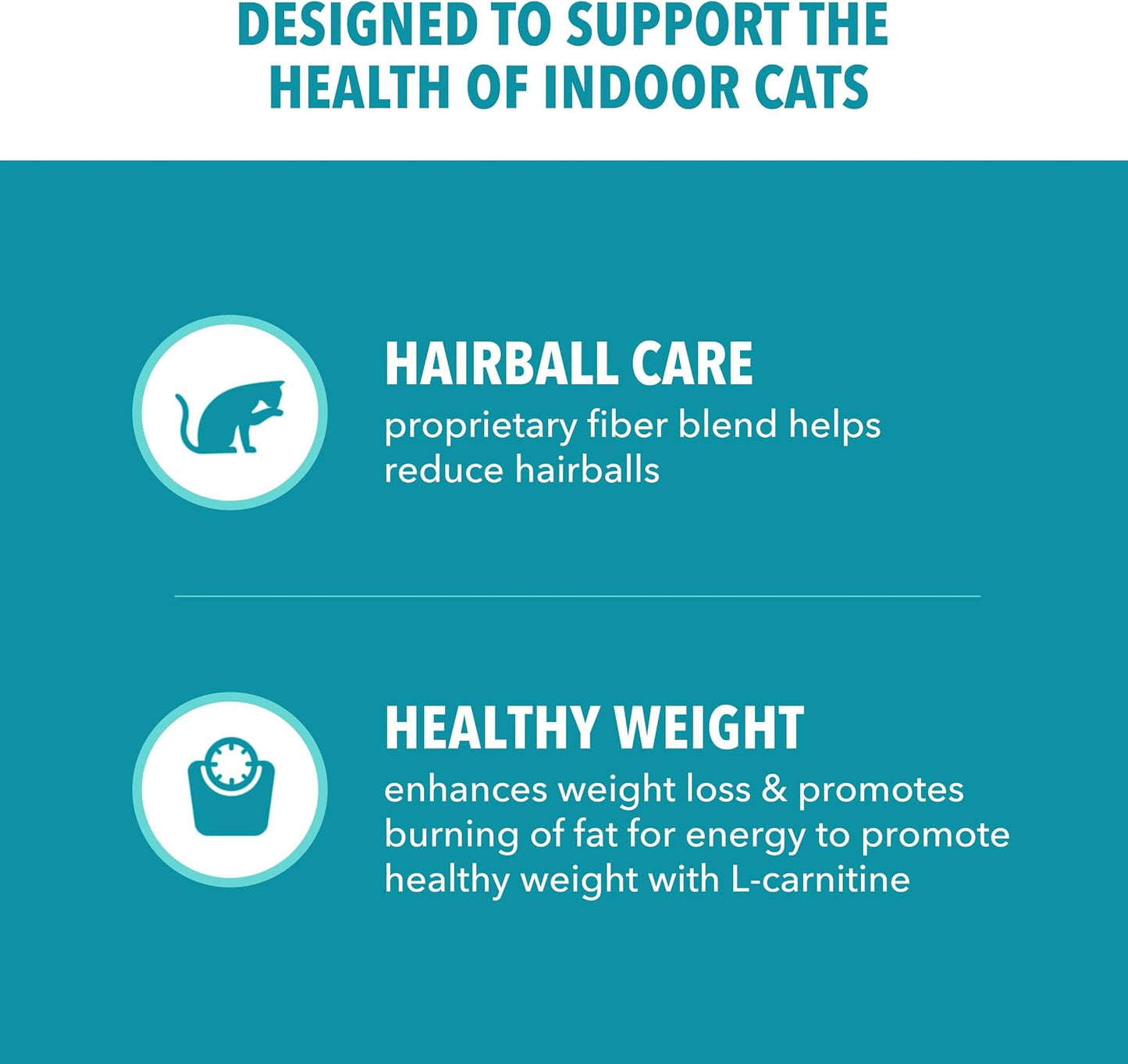 HOTIAMS Proactive Health Indoor Dry Cat Food, Chicken & Turkey, 7 lb | Vet-recommended, Real Chicken #1 Ingredient, Proprietary Fiber Blend, Prebiotics for Healthy Digestion, Hairball Control