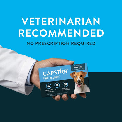 HOTCapstar (Nitenpyram) Fast-Acting Oral Flea Treatment for Dogs 2-25 Lbs, Vet-Recommended Medication Tablets, Flea Tablets for Dogs Start Killing in 30 Minutes, 6 Doses