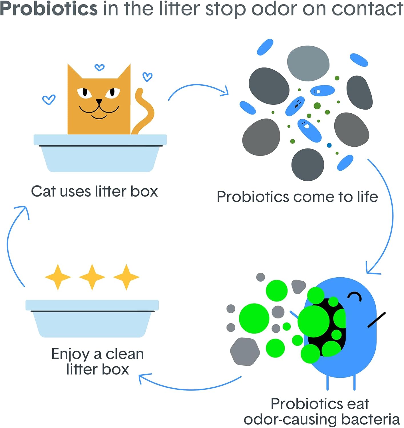HOTBoxie Probiotic Clumping Cat Litter 40+ Day Odor Control Dust Free 16 lb