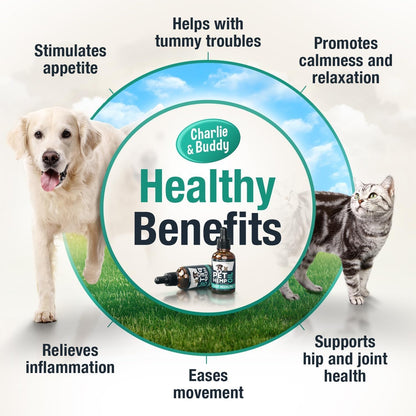 HOTCharlie & Buddy Hemp Оil for Dogs Cats - Helps Pets with Аnxiеty, Pаin, Strеss, Slееp, Аrthritis, Sеizures Rеlief - Нiр Jоint Hеalth - Cаlming Trеats
