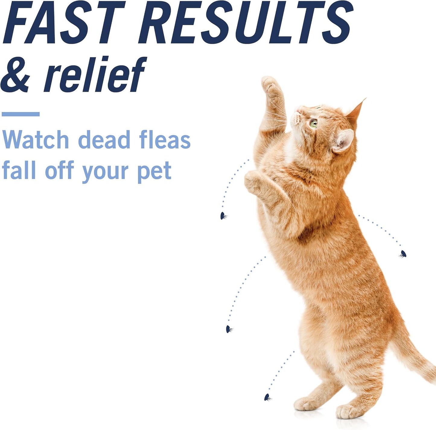 HOTPetArmor CAPACTION (nitenpyram) Oral Flea Treatment for Cats, Cat Flea Treatment Pill, Fast Acting Tablets Start Killing in 30 Minutes, 2-25 lbs, 6 Doses