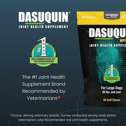 HOTNutramax Dasuquin MSM Joint Supplement for Large Dogs, Soft Chews, 84ct | Glucosamine and Chondroitin, ASU, MSM, Supports Healthy Joints, For Dogs Over 60 lbs, All Ages, Soft Chews