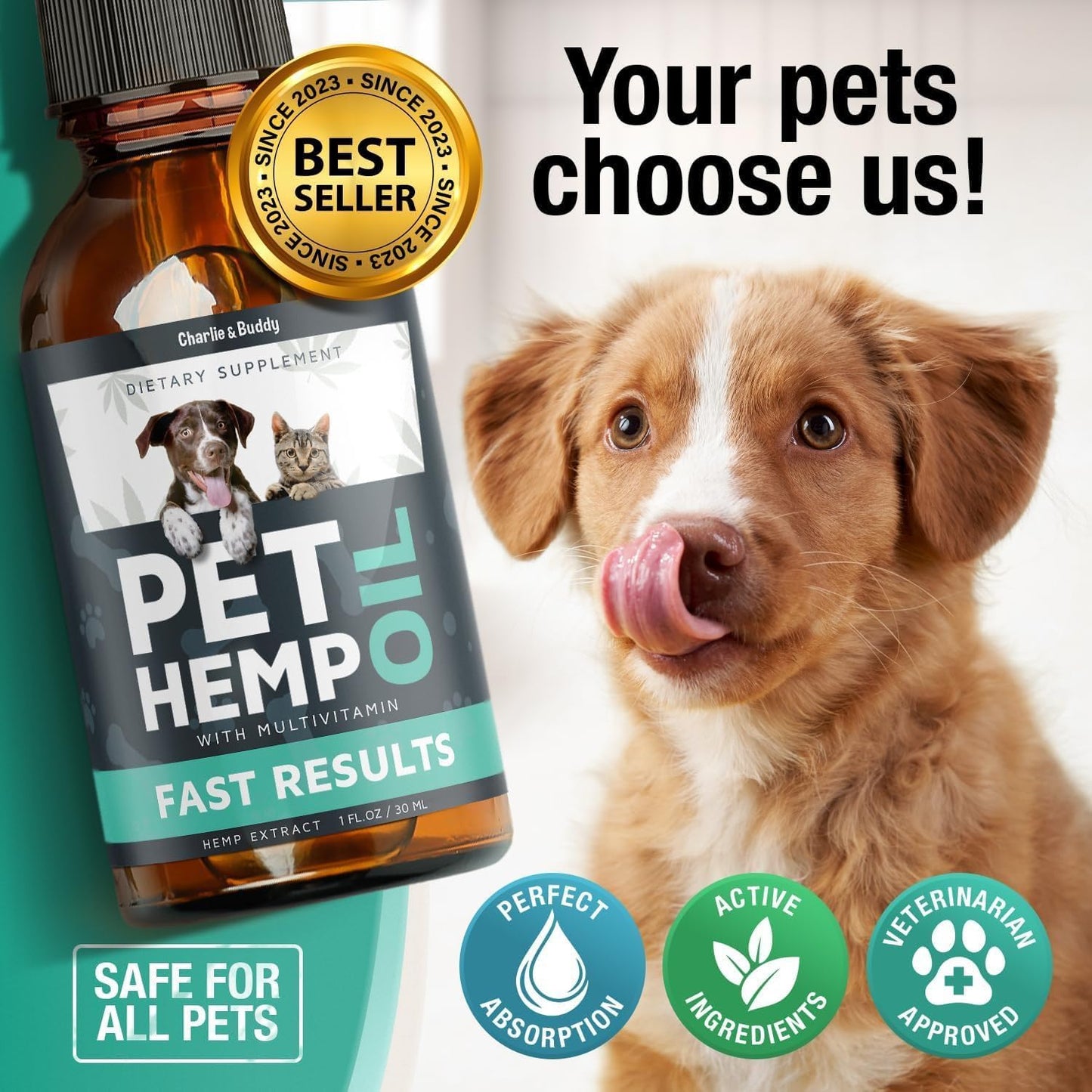 HOTCharlie & Buddy Hemp Оil for Dogs Cats - Helps Pets with Аnxiеty, Pаin, Strеss, Slееp, Аrthritis, Sеizures Rеlief - Нiр Jоint Hеalth - Cаlming Trеats