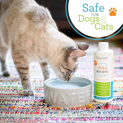 HOTOxyfresh Premium Pet Dental Care Solution Pet Water Additive: Best Way to Eliminate Bad Dog Breath and Cat Bad Breath - Fights Tartar & Plaque - So Easy, Just Add to Water! Vet Recommended 16 oz.