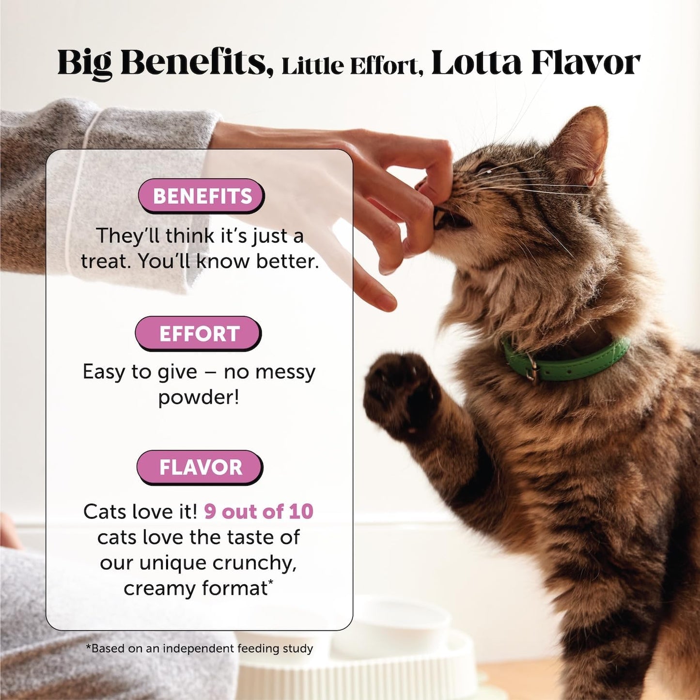 HOTCat Multivitamin Crunchy Creamy Chews - Daily Cat Vitamins with Lysine, Prebiotics, Omega 3 Fish Oil - Cat Treats for Immune Support, Skin Coat, Digestion, Heart + Joint Health (30-Day Supply)