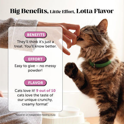 HOTCat Multivitamin Crunchy Creamy Chews - Daily Cat Vitamins with Lysine, Prebiotics, Omega 3 Fish Oil - Cat Treats for Immune Support, Skin Coat, Digestion, Heart + Joint Health (30-Day Supply)
