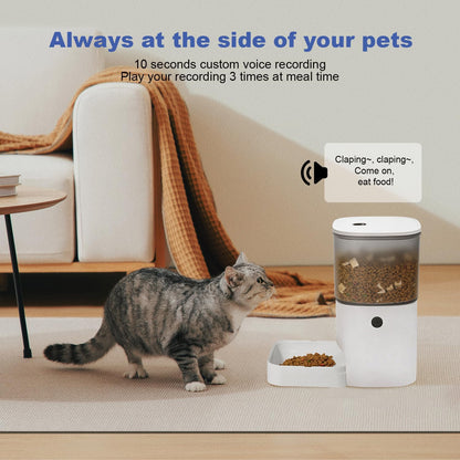 HOTANDOLL HOME Automatic Cat Feeder, 4L Cat Food Dispenser with 10s Voice Recorder, Pet Feeder up to 8 Meals per Day, Timed Dog Feeder with Dry Food Sealed Ring