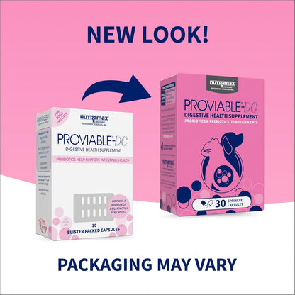 HOTNutramax Proviable Probiotics for Dogs and Cats, Daily Digestive Health Supplement with Multiple Strains of Bacteria, Cat and Dog Probiotics Plus Prebiotics, 30 Capsules