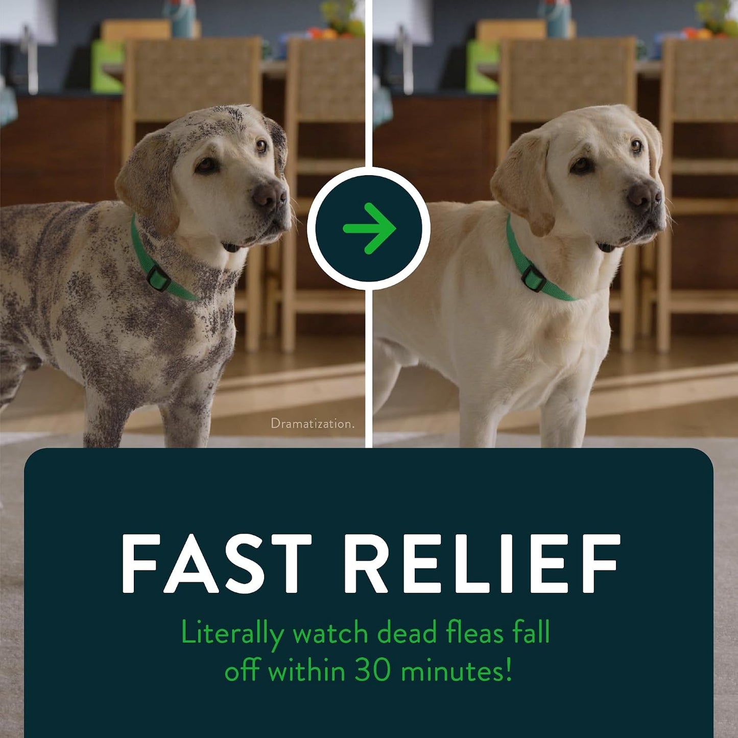 HOTCapstar for Dogs (nitenpyram), Fast-Acting Oral Flea Treatment for Dogs Over 25+ lbs, Vet-Recommended Flea Medication Tablets Start Killing in 30 Minutes, 6 Doses | Ideal for Dogs 25+ lbs; Oral Tablet, No Mess; 6 doses; Fast Flea Knockdown